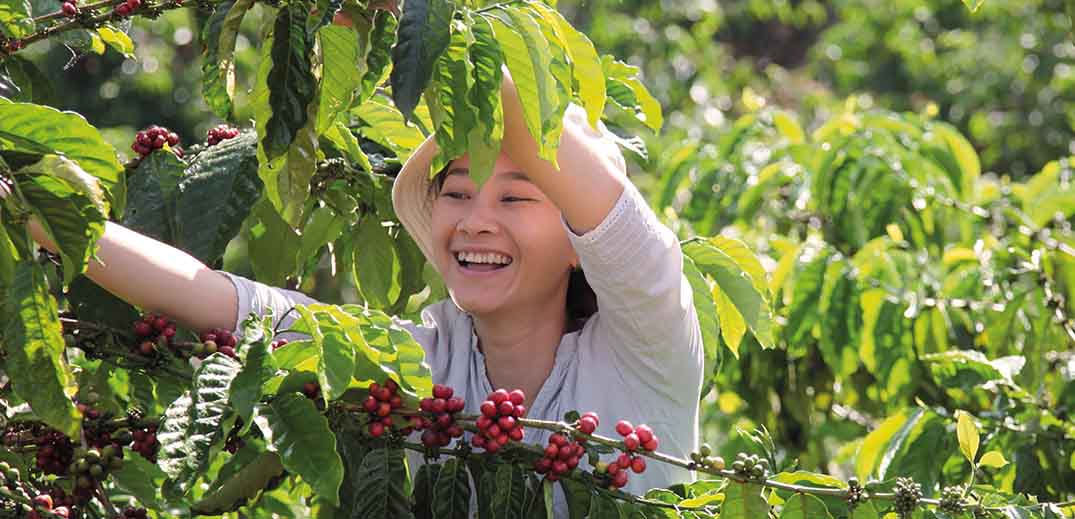 Nescafé to Use the Power of Coffee to Improve More Lives