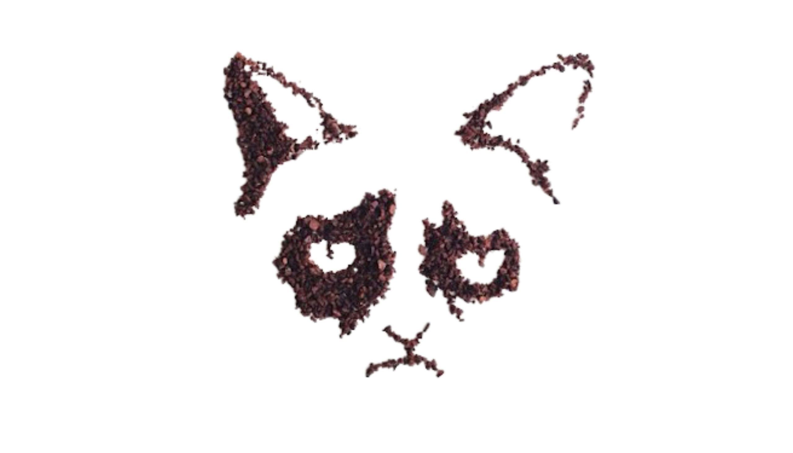 Coffee Grounds Art:  Who said coffee was just for drinking?