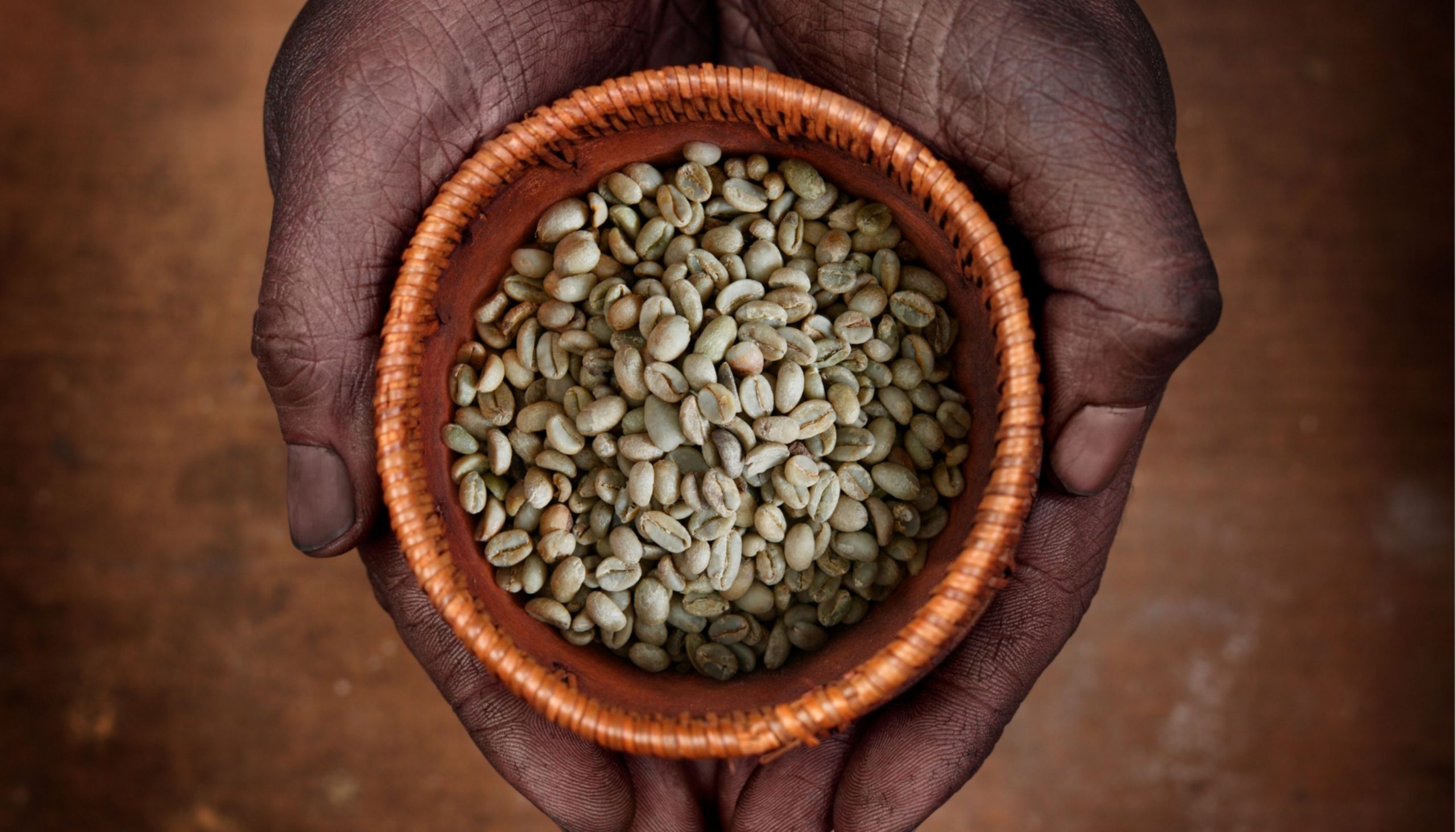 The Inside Guide to the Ethiopian Coffee Industry