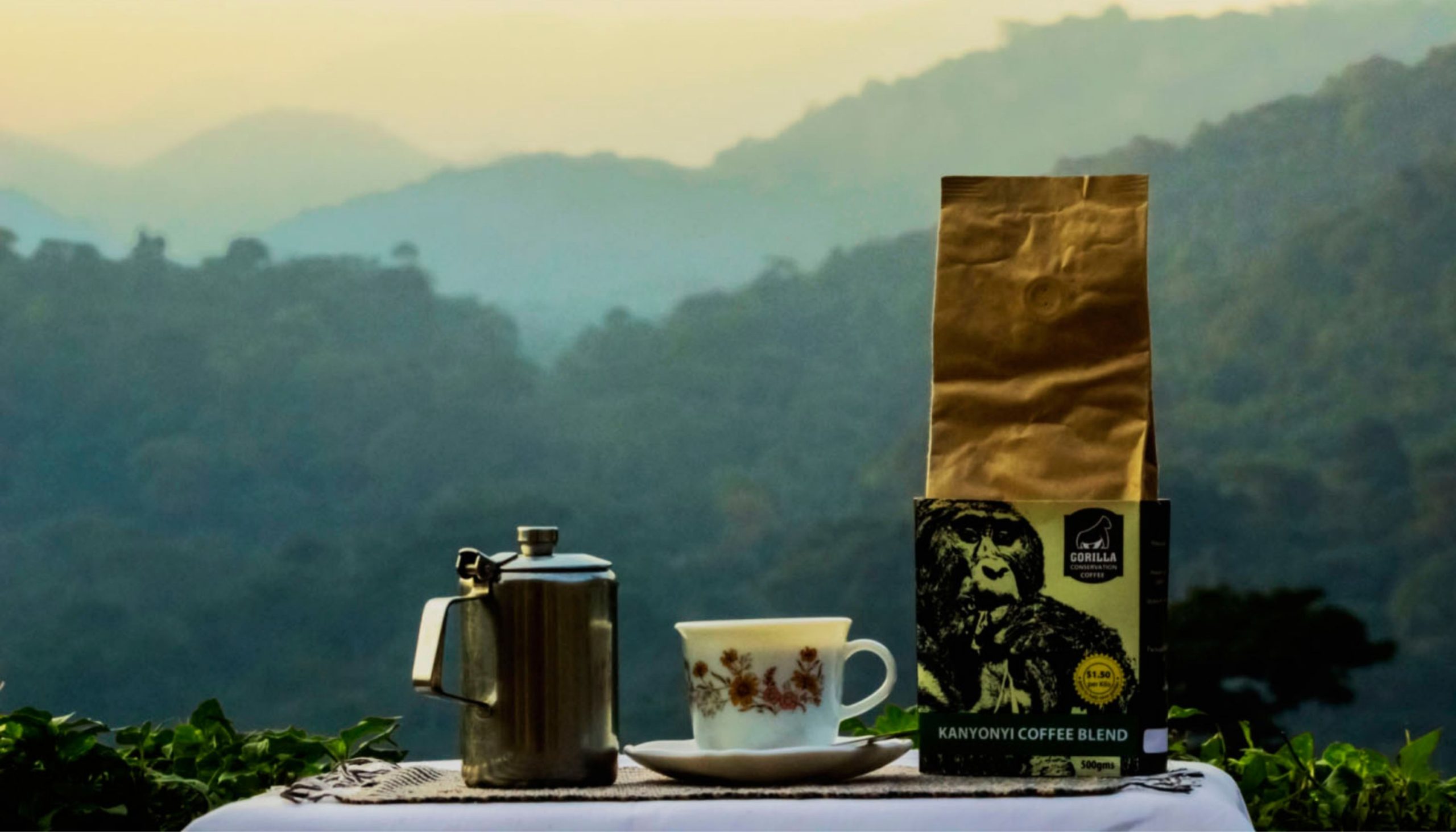 Gorilla Conservation Coffee: Saving Gorillas One Sip At a Time.