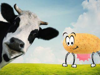 Potato Milk is now in the UK. Mooove over, cows!
