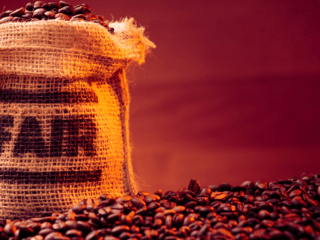 What is Fairtrade Coffee and Why Does it Matter?