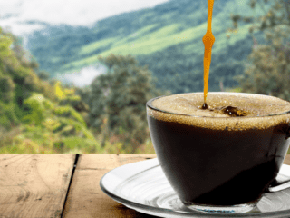 Coffee Curiosity: The Top 10 Questions About Coffee Answered!